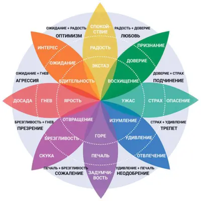 Чем чувства отличаются от эмоций